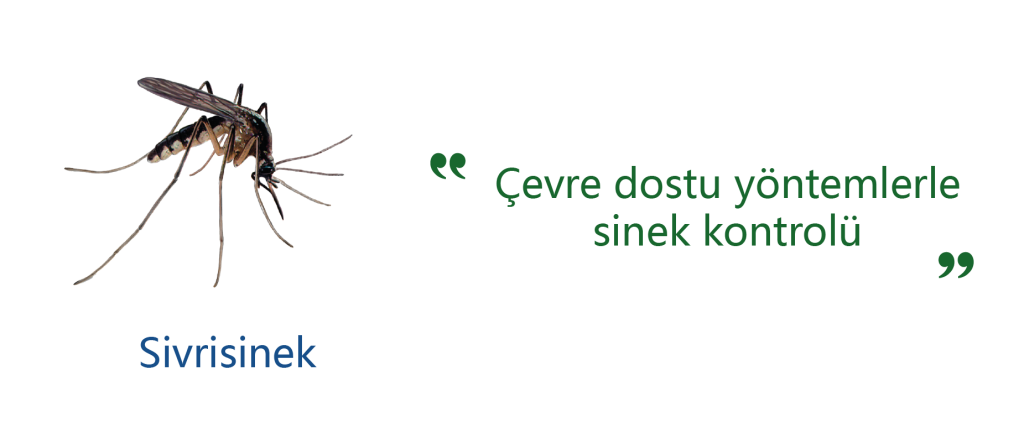Sivrisinek