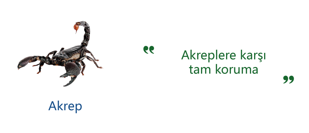 akrep