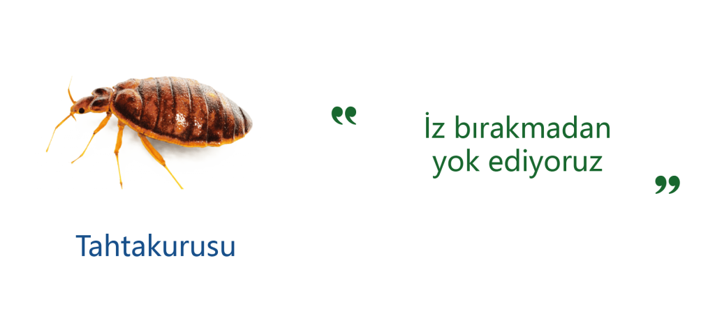 tahtakurusu