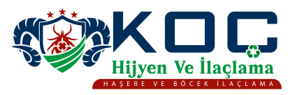 koÇ revİze 01